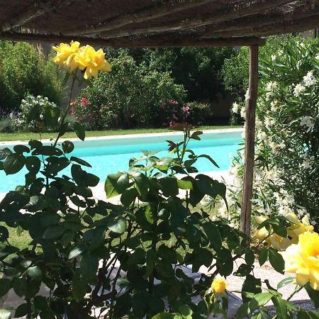 Agriturismo Lupo Vecchio Grosseto Exterior foto