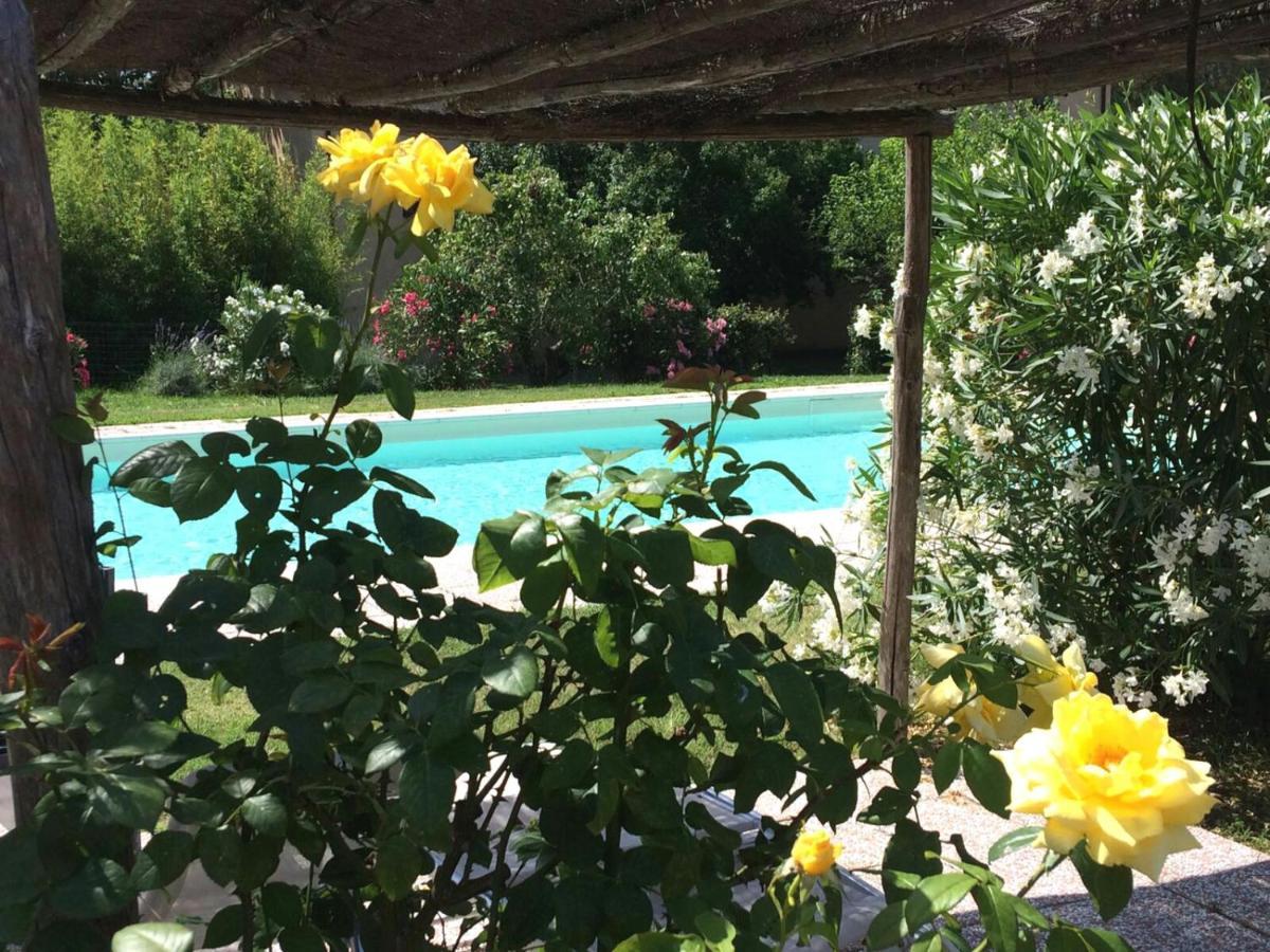 Agriturismo Lupo Vecchio Grosseto Exterior foto