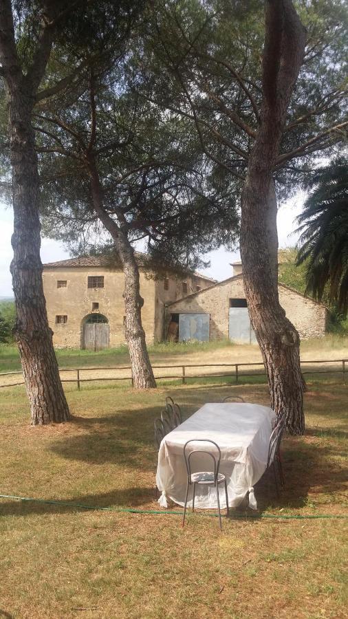 Agriturismo Lupo Vecchio Grosseto Exterior foto